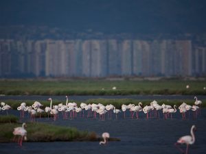 Eşya Depolama Çiğli - Organize Sanayi ve ev eşyaları için Ad Plus Depo'da güvenli alan